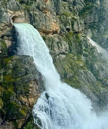 Paraíso desconocido, alojamiento rural, el bosque encantado