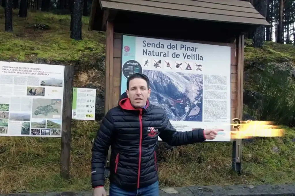 La ruta del Pino Enroscado en Velilla del río Carrión