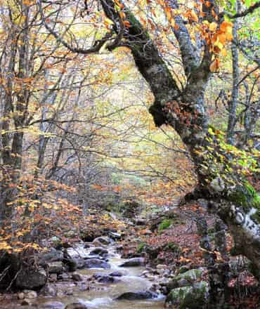 Naturaleza pura en el Paraíso desconocido